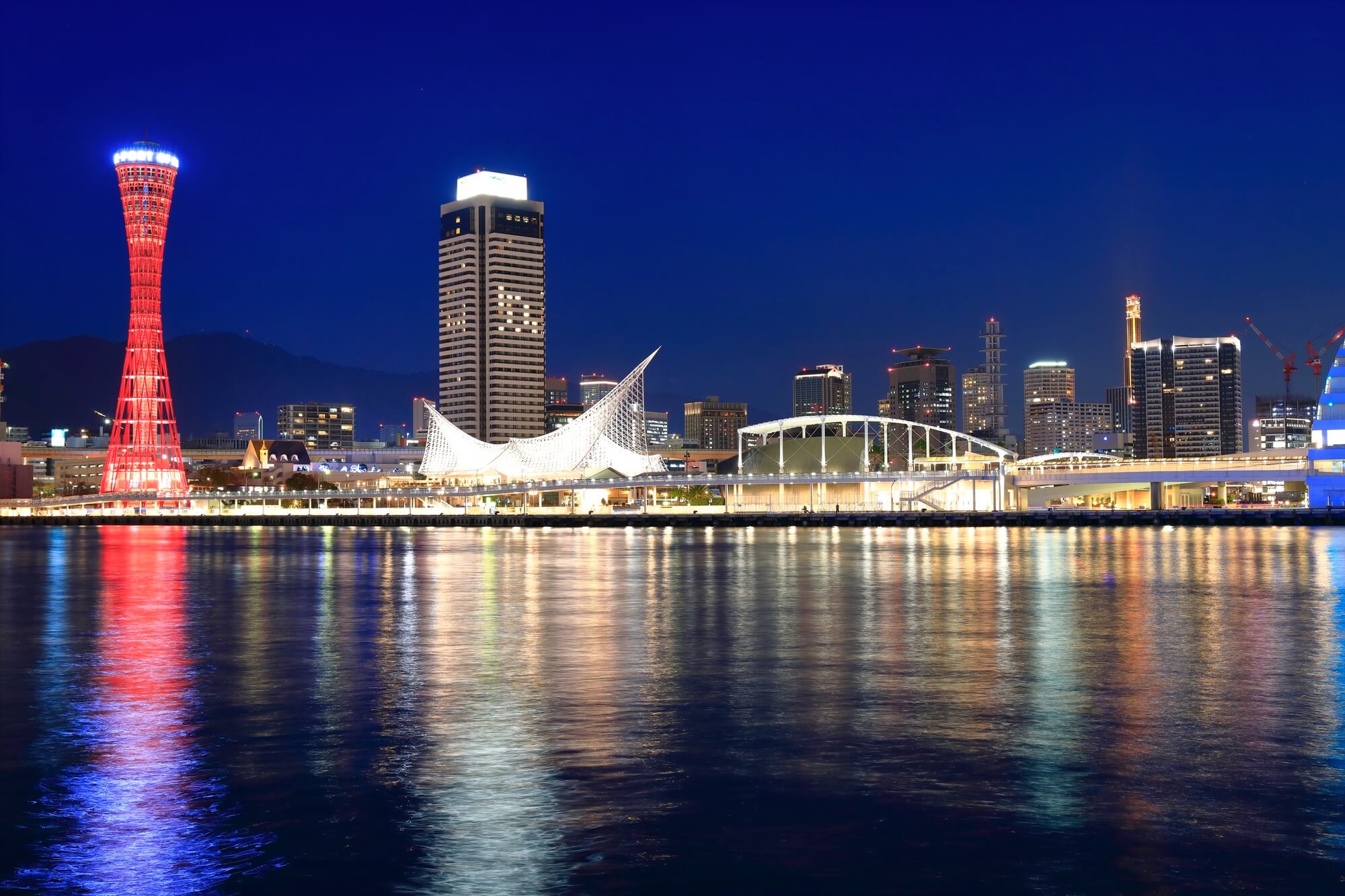 兵庫の室内ドッグランで愛犬と楽しい時間を過ごしましょう!